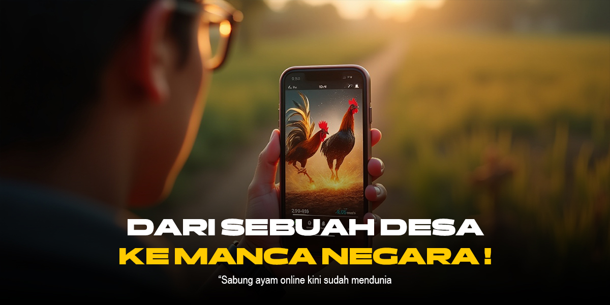 Mengenal Jenis Ayam Bangkok yang Sering Dijadikan Lawan Tarung di Sabung Ayam SV388